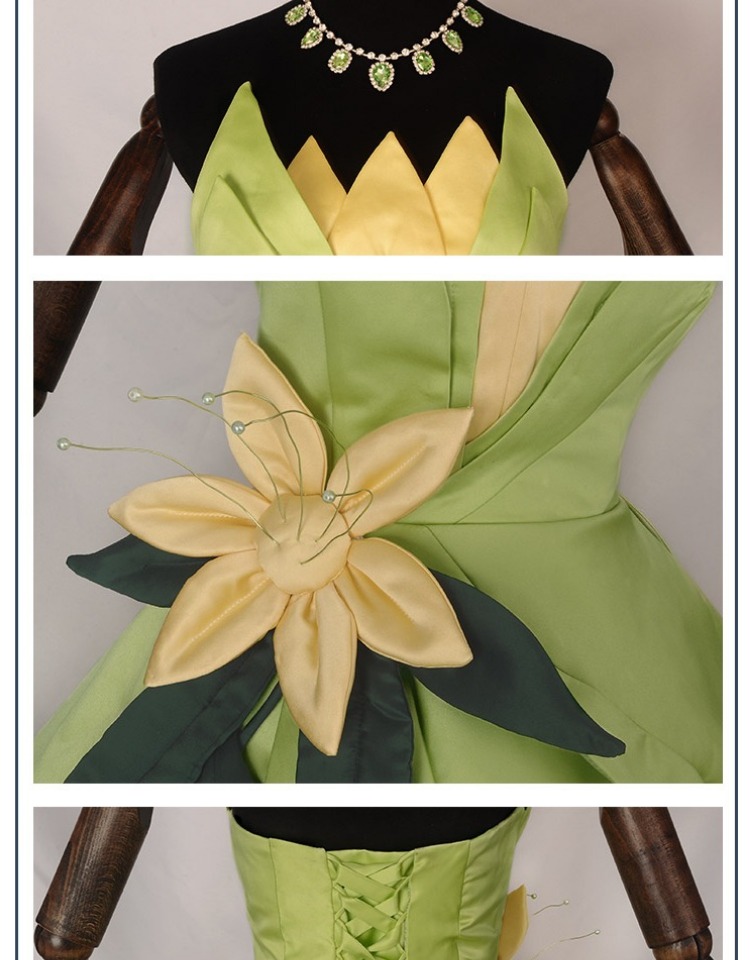 Princess Tiana Dress Cosplay C - Men'S Accessories Designer avis et prix