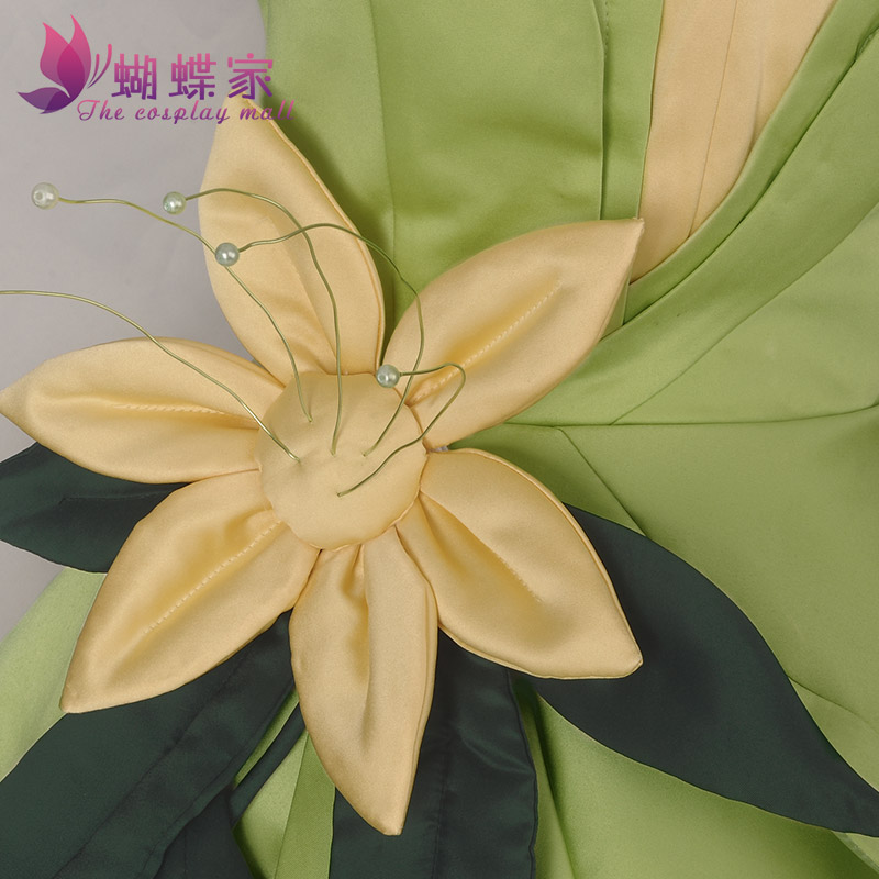 Princess Tiana Dress Cosplay C - Men'S Accessories Designer avis et prix